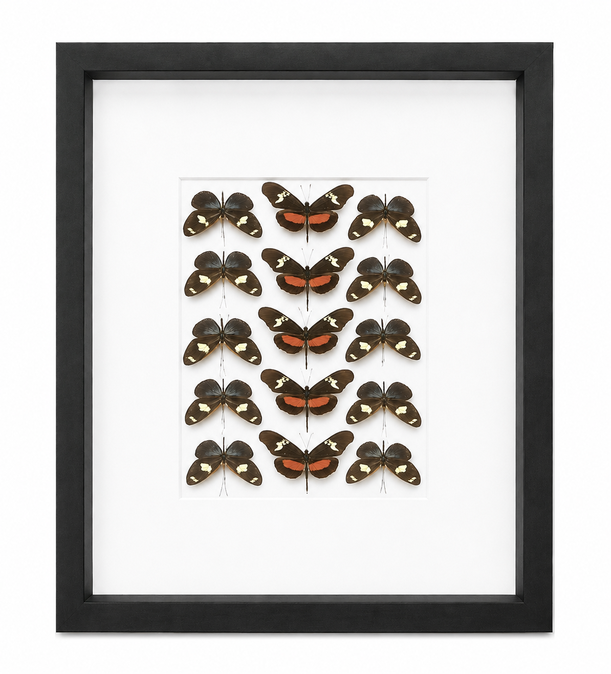 WALL ART — Accessory Preview Inc.